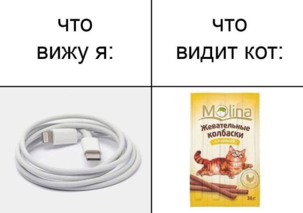 Свежая порция прикольных мемов: "Когда соврал в резюме, но быстро схватываешь" (19 фото)