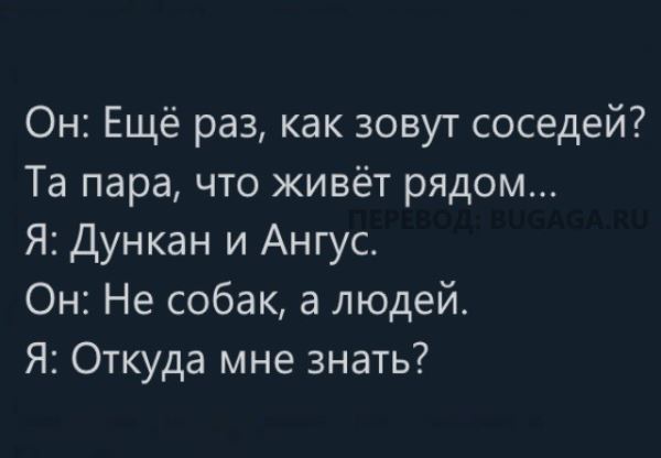 Прикольные мемы с собаками и про собак (14 шт)