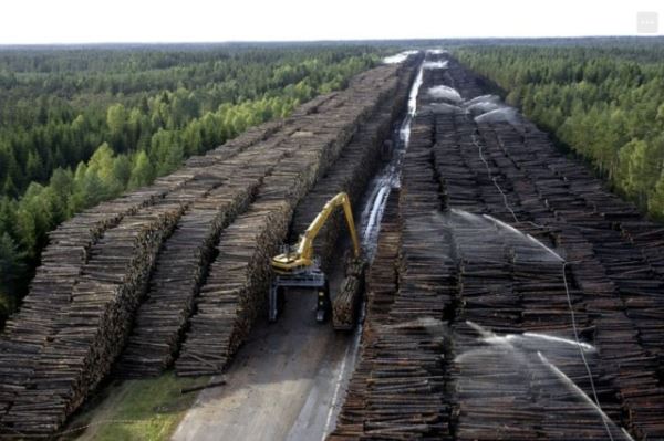 Гигантские хранилища, трещащие по швам от содержимого (18 фото)